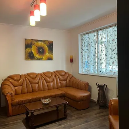 Cazare David Si Familia . Piatra Neamţ Exterior foto